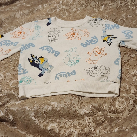 Bluey Sweatshirt Shirt Toddler 4T - Picture 2 of 3
